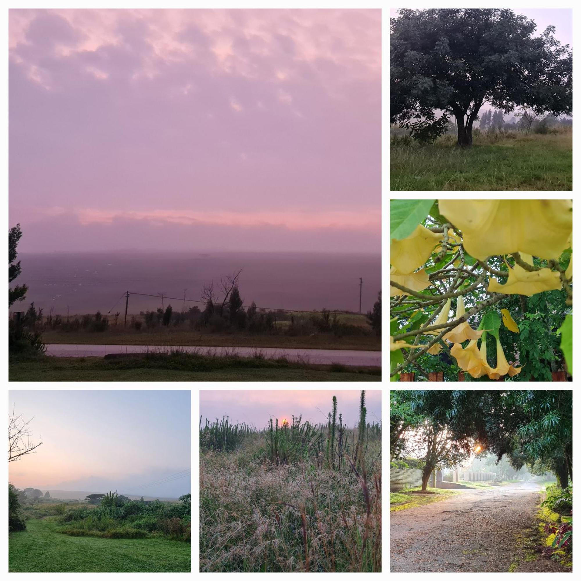 גרסקופ Mosswood Bed & Breakfast מראה חיצוני תמונה